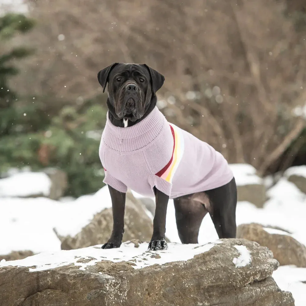 GF Pet Retro Sweater